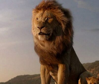 "Mufasa : The Lion King", prévu pour l’année 2024