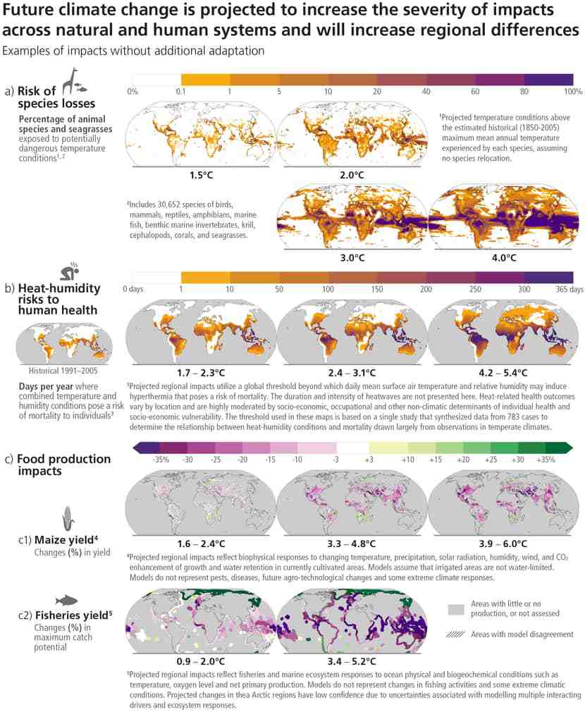 En haut, le pourcentage d'espèces menacées d'extinction dans le monde en fonction des scénarios. Dessous, en b, le nombre de jours par an dans le monde où les conditions d'humidité-température ne seront pas tenables pour l'être humain. Enfin, en c, les modifications sur la production de nourriture : la production de maïs (en c1), et les modifications de la disponibilité des poissons (en c2). Giec 2023