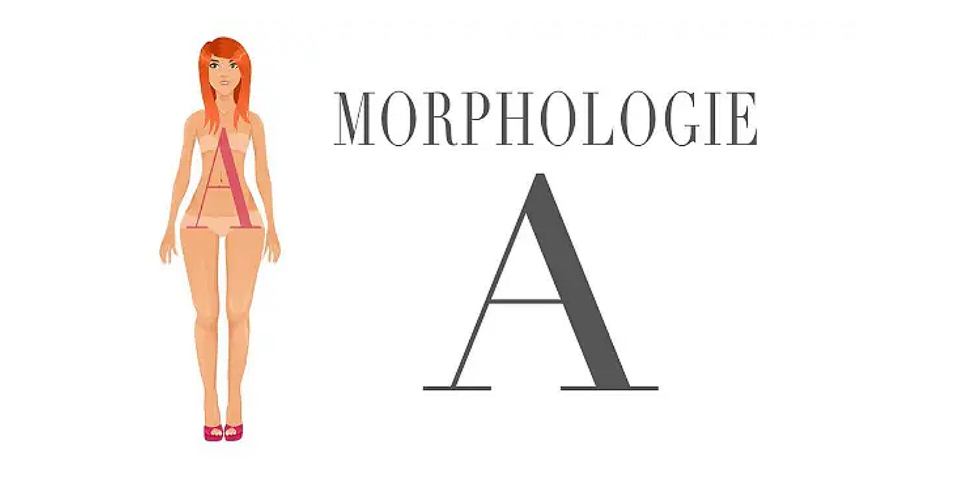 Morphologie A