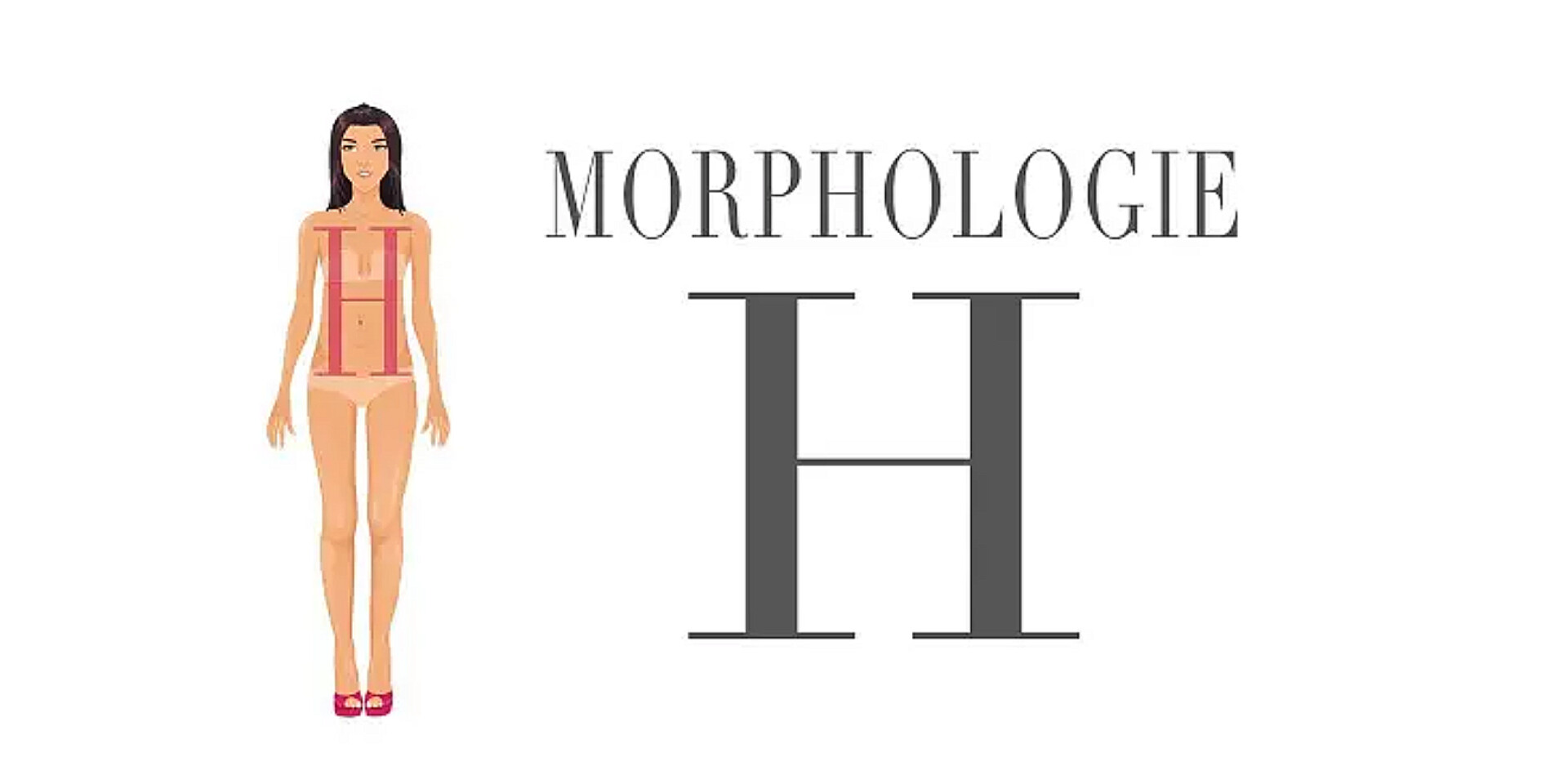 Morphologie H