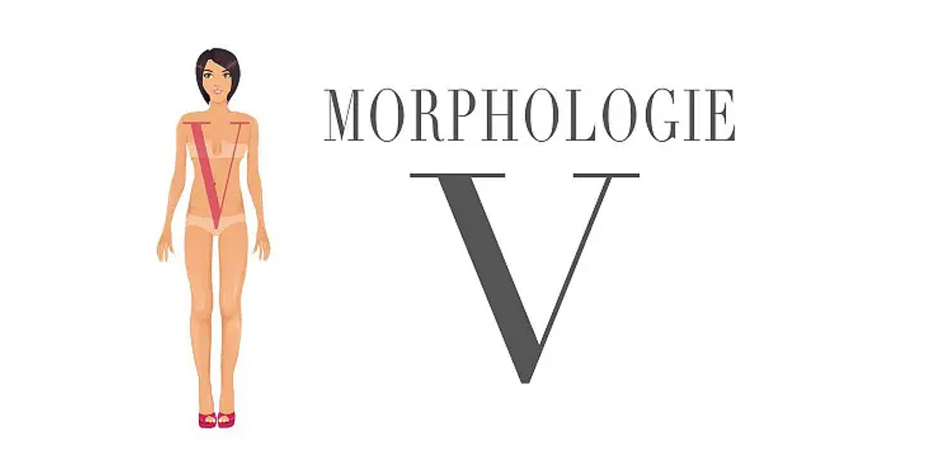 Morphologie V