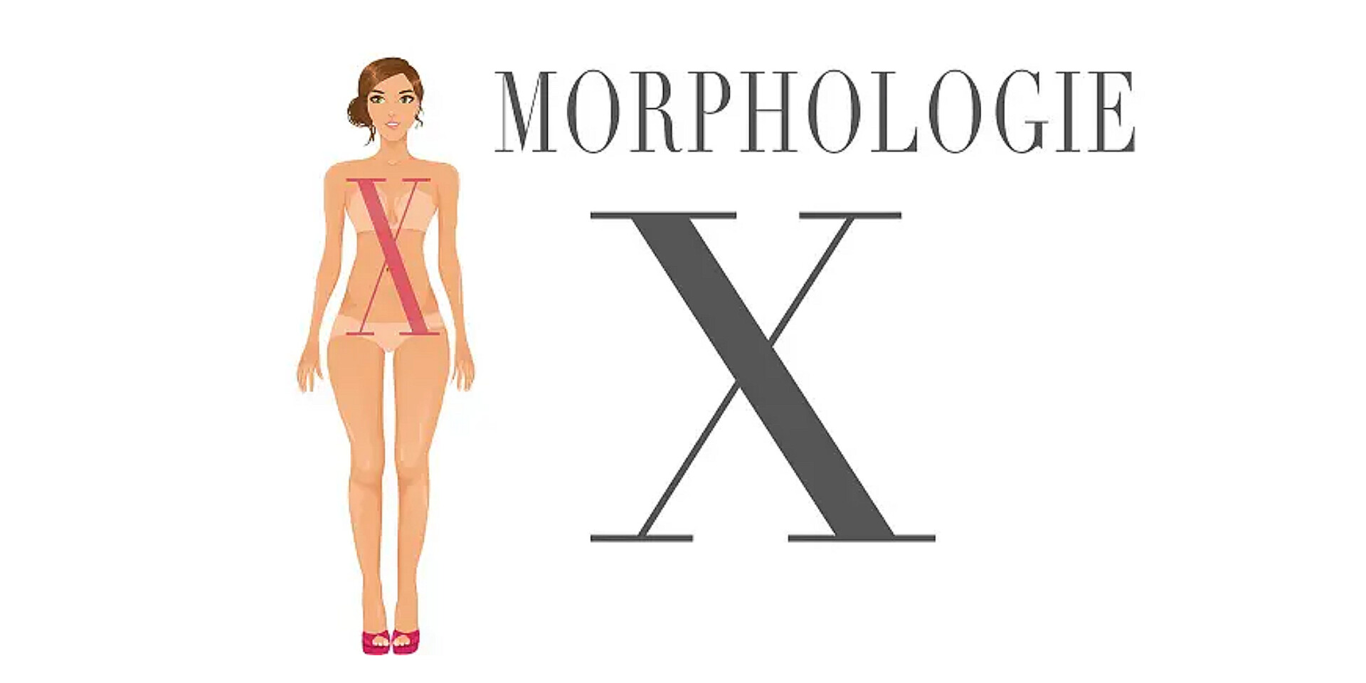 Morphologie X