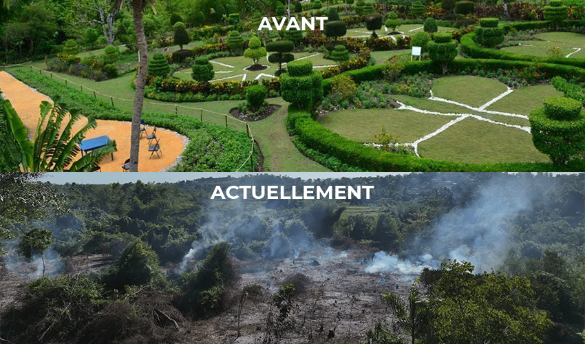 Drame en Haïti : Destruction du Jardin botanique des Cayes