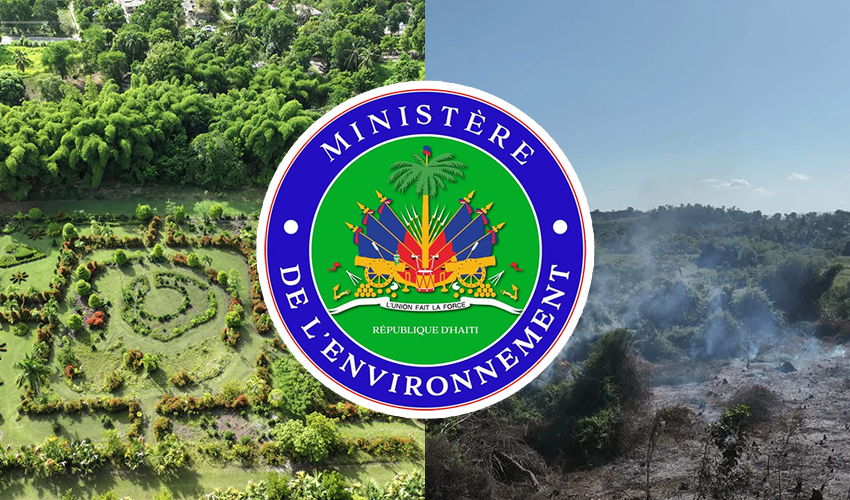 Le Ministère de l’Environnement condamne les actes de vandalisme au Jardin botanique des Cayes